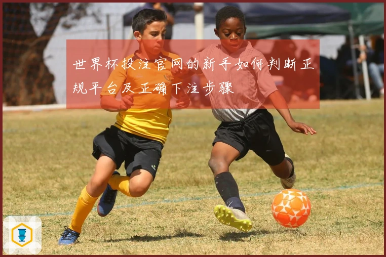 世界杯投注官网的新手如何判断正规平台及正确下注步骤