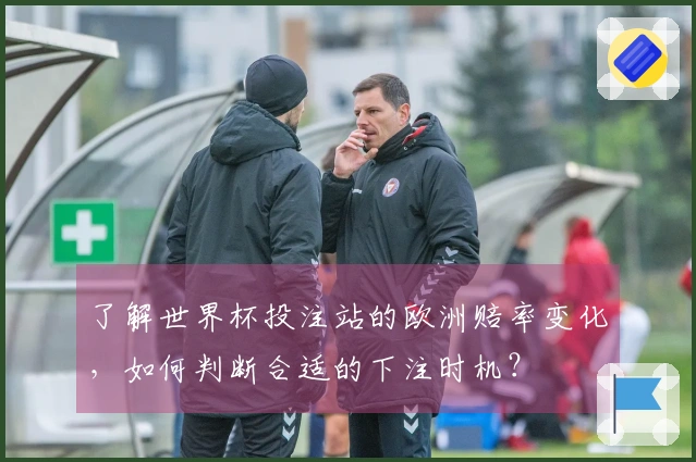 了解世界杯投注站的欧洲赔率变化,如何判断合适的下注时机?
